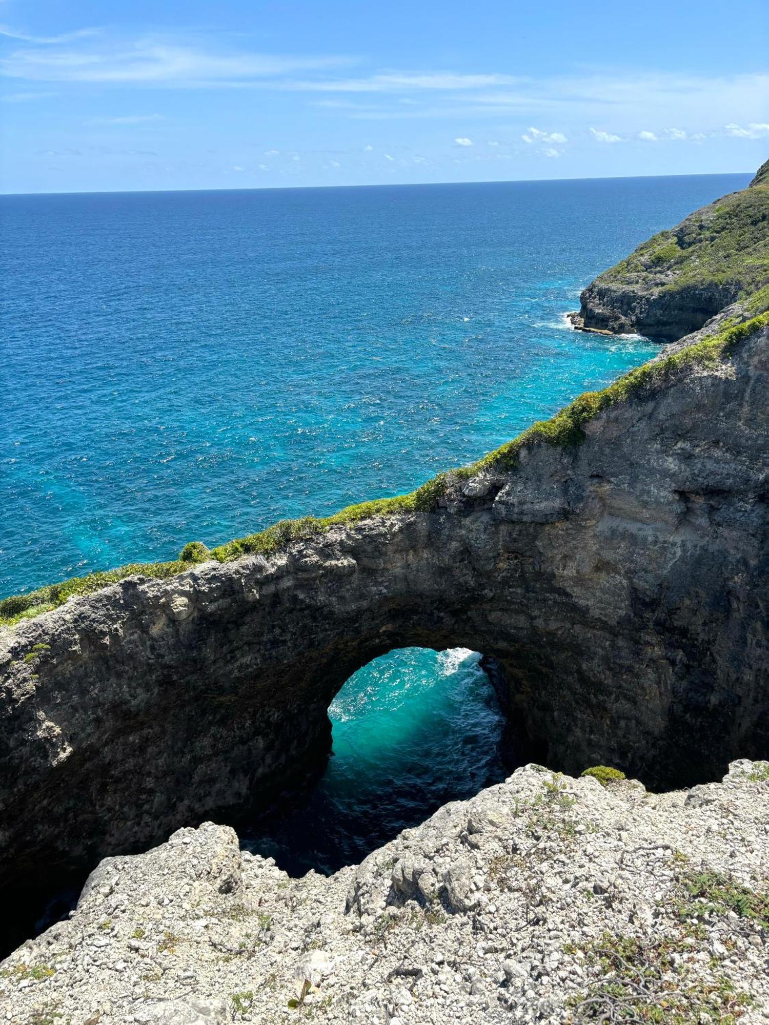 Blue Dream - Le Cocon Miel, Piscine, Restaurant Lägenhet Folle Anse Exteriör bild